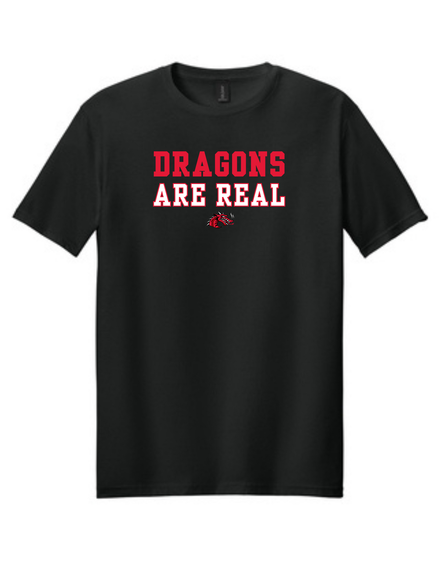 Dragons Are Real