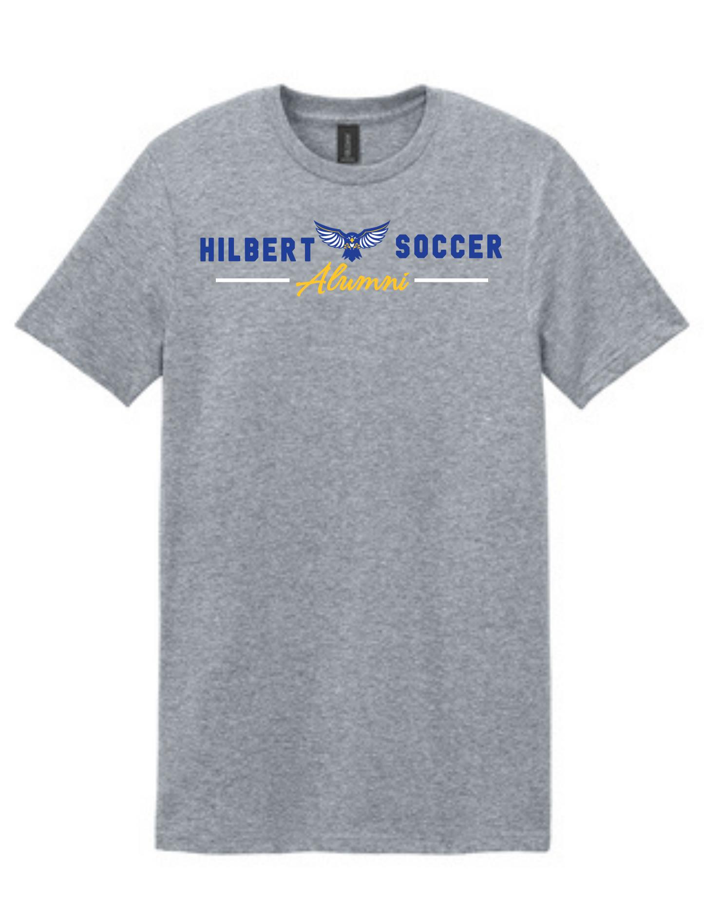 Hilbert Hawks Soccer Alumni